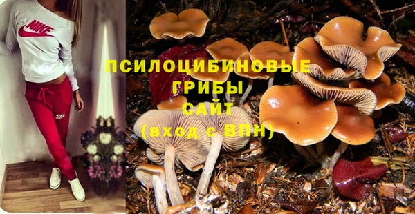 PSILOCYBIN Абдулино